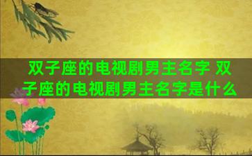 双子座的电视剧男主名字 双子座的电视剧男主名字是什么